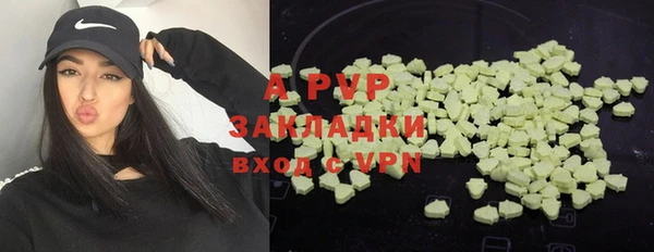apvp Алексин