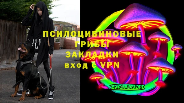 крисы Алзамай