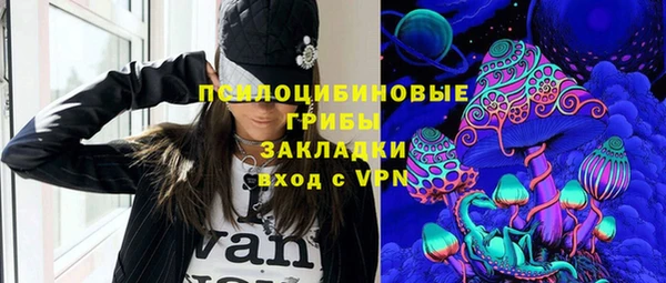 apvp Алексин